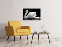 Load image into Gallery viewer, Canvas print The graceful swan