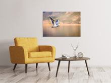 Load image into Gallery viewer, Canvas print The flying seagull