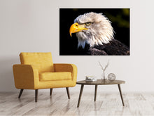 Load image into Gallery viewer, Canvas print The eagle head