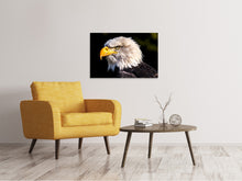 Load image into Gallery viewer, Canvas print The eagle head