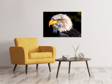 Load image into Gallery viewer, Canvas print The eagle head
