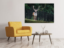Load image into Gallery viewer, Canvas print The fallow deer 2
