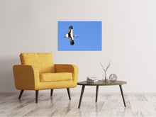 Load image into Gallery viewer, Canvas print The stork in action