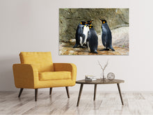 Load image into Gallery viewer, Canvas print King penguins