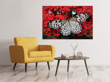 Load image into Gallery viewer, Canvas print Butterfly in XXL
