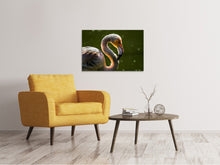 Load image into Gallery viewer, Canvas print Gorgeous bird