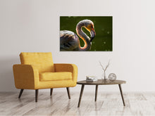 Load image into Gallery viewer, Canvas print Gorgeous bird
