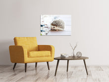 Load image into Gallery viewer, Canvas print The hedgehog baby