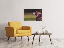 Load image into Gallery viewer, Canvas print Watchful eagle