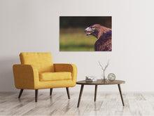 Load image into Gallery viewer, Canvas print Watchful eagle