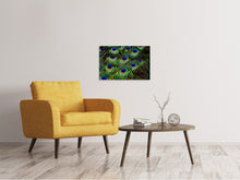 Load image into Gallery viewer, Canvas print Peacock feathers XXL