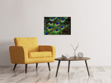 Load image into Gallery viewer, Canvas print Peacock feathers XXL