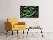 Load image into Gallery viewer, Canvas print Peacock feathers XXL