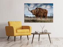 Load image into Gallery viewer, Canvas print Attention bull!