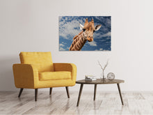 Load image into Gallery viewer, Canvas print Attention giraffe!