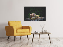 Load image into Gallery viewer, Canvas print Snail XXL
