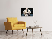 Load image into Gallery viewer, Canvas print Mom and baby swan