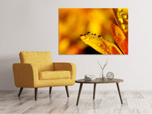 Load image into Gallery viewer, Canvas print Drops Close up
