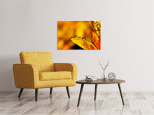 Load image into Gallery viewer, Canvas print Drops Close up