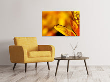 Load image into Gallery viewer, Canvas print Drops Close up