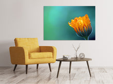 Load image into Gallery viewer, Canvas print Marigold in morning dew