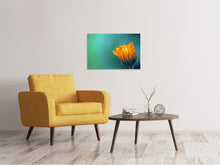 Load image into Gallery viewer, Canvas print Marigold in morning dew