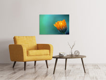 Load image into Gallery viewer, Canvas print Marigold in morning dew