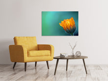 Load image into Gallery viewer, Canvas print Marigold in morning dew