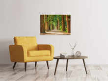 Load image into Gallery viewer, Canvas print The green avenue