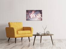 Load image into Gallery viewer, Canvas print Flower XL