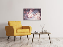 Load image into Gallery viewer, Canvas print Flower XL