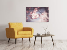 Load image into Gallery viewer, Canvas print Flower XL