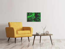 Load image into Gallery viewer, Canvas print Pine XL