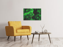 Load image into Gallery viewer, Canvas print Pine XL