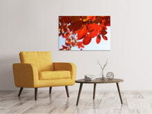 Load image into Gallery viewer, Canvas print Red leaves XL