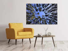 Load image into Gallery viewer, Canvas print Under high treetops