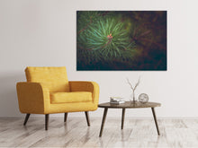 Load image into Gallery viewer, Canvas print Pine tree close up