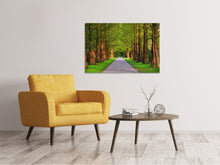 Load image into Gallery viewer, Canvas print Beautiful avenue in nature