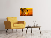 Load image into Gallery viewer, Canvas print A shrub in the sunset