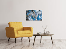 Load image into Gallery viewer, Canvas print birch crowns