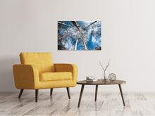 Load image into Gallery viewer, Canvas print birch crowns