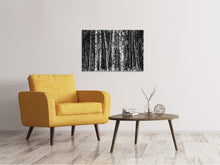 Load image into Gallery viewer, Canvas print Many birches XL