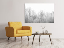 Load image into Gallery viewer, Canvas print Birches in the snow