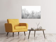 Load image into Gallery viewer, Canvas print Birches in the snow