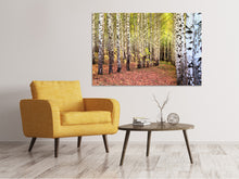 Load image into Gallery viewer, Canvas print the path between birches