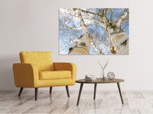 Load image into Gallery viewer, Canvas print The 2 birches