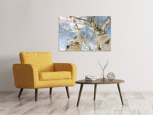 Load image into Gallery viewer, Canvas print The 2 birches