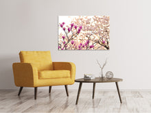 Load image into Gallery viewer, Canvas print Beautiful magnolia XL