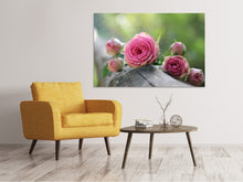 Load image into Gallery viewer, Canvas print bush roses
