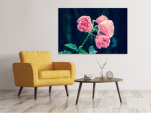 Load image into Gallery viewer, Canvas print Beautiful pink roses